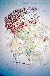 "Roma, l'area archeologica centrale e la citt� moderna", figura 20, pagina 38: "L'area archeologica centrale nel 1920"