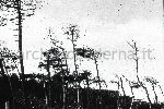 F.55/F.55_D023.jpg