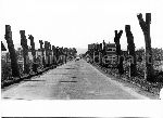 F.67/F.67_008.jpg